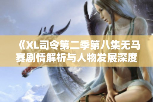 《XL司令第二季第八集无马赛剧情解析与人物发展深度探讨》