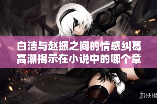 白洁与赵振之间的情感纠葛高潮揭示在小说中的哪个章节