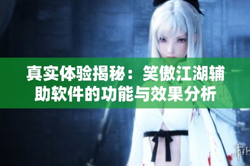真实体验揭秘：笑傲江湖辅助软件的功能与效果分析