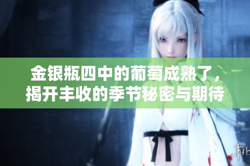 金银瓶四中的葡萄成熟了，揭开丰收的季节秘密与期待
