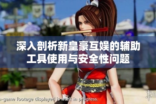 深入剖析新皇豪互娱的辅助工具使用与安全性问题