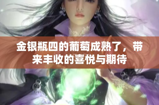 金银瓶四的葡萄成熟了，带来丰收的喜悦与期待