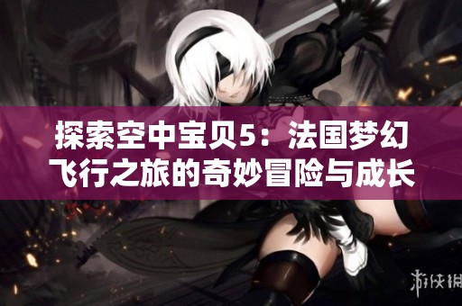 探索空中宝贝5：法国梦幻飞行之旅的奇妙冒险与成长故事