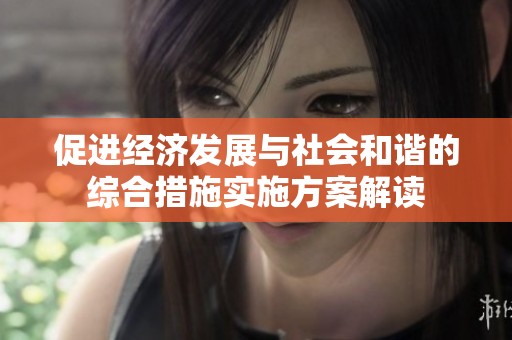 促进经济发展与社会和谐的综合措施实施方案解读