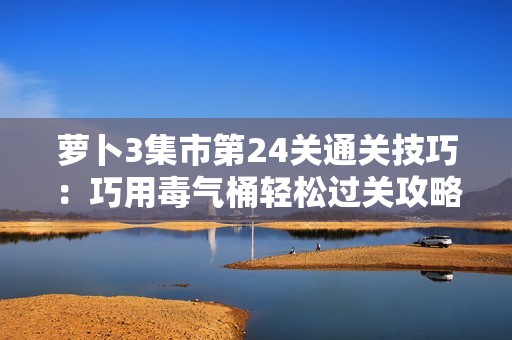 萝卜3集市第24关通关技巧：巧用毒气桶轻松过关攻略解析
