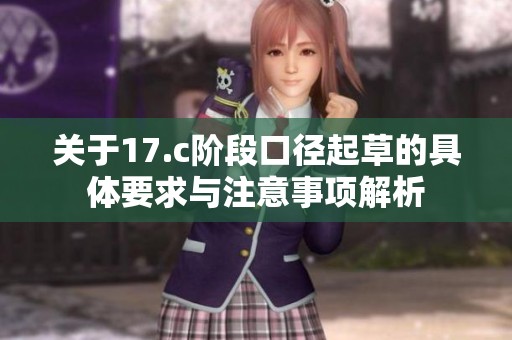 关于17.c阶段口径起草的具体要求与注意事项解析