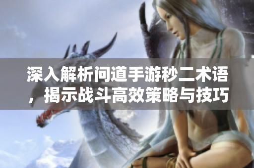 深入解析问道手游秒二术语，揭示战斗高效策略与技巧宝典
