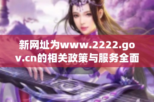 新网址为www.2222.gov.cn的相关政策与服务全面解读