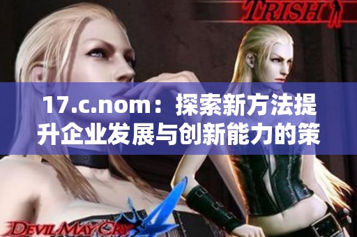 17.c.nom：探索新方法提升企业发展与创新能力的策略分析