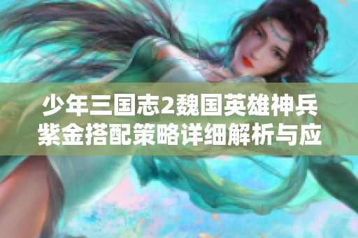 少年三国志2魏国英雄神兵紫金搭配策略详细解析与应用指南