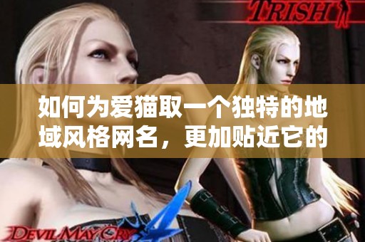 如何为爱猫取一个独特的地域风格网名，更加贴近它的个性与特征