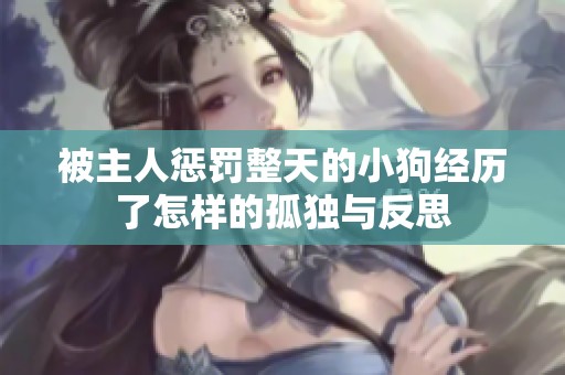 被主人惩罚整天的小狗经历了怎样的孤独与反思