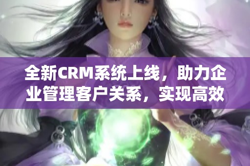 全新CRM系统上线，助力企业管理客户关系，实现高效运营与精准营销