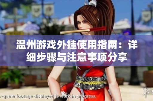 温州游戏外挂使用指南：详细步骤与注意事项分享