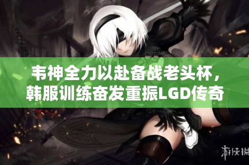 韦神全力以赴备战老头杯，韩服训练奋发重振LGD传奇