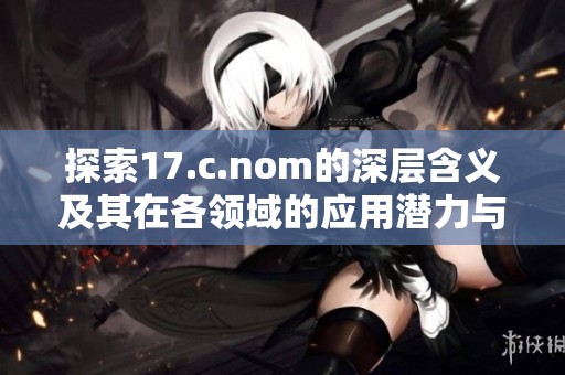 探索17.c.nom的深层含义及其在各领域的应用潜力与影响解析