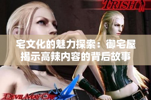 宅文化的魅力探索：御宅屋揭示高辣内容的背后故事