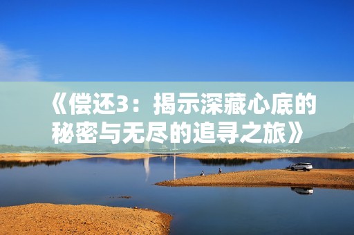 《偿还3：揭示深藏心底的秘密与无尽的追寻之旅》
