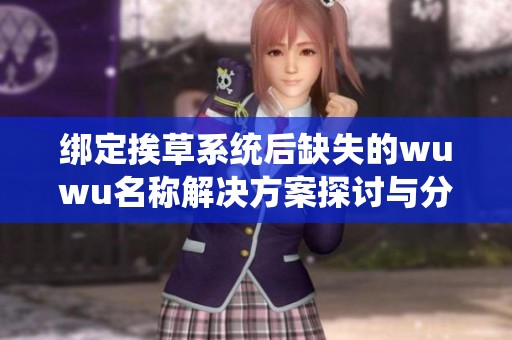 绑定挨草系统后缺失的wuwu名称解决方案探讨与分析