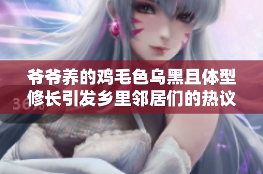 爷爷养的鸡毛色乌黑且体型修长引发乡里邻居们的热议与赞赏