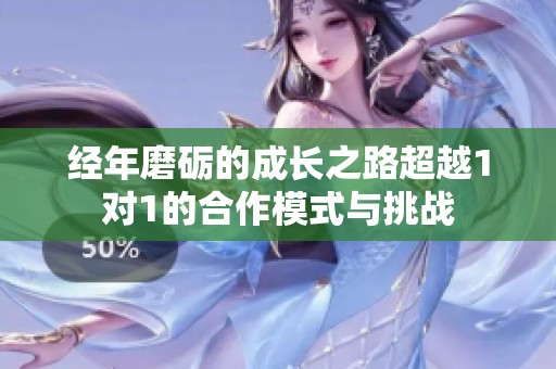 经年磨砺的成长之路超越1对1的合作模式与挑战