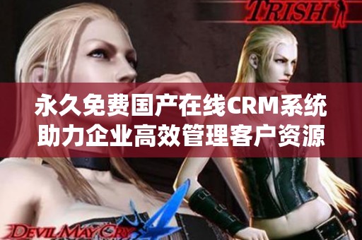 永久免费国产在线CRM系统助力企业高效管理客户资源与关系