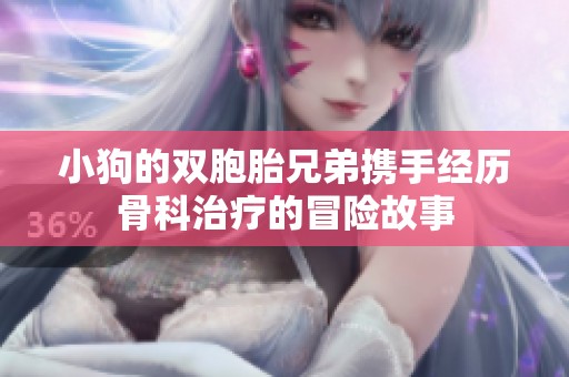 小狗的双胞胎兄弟携手经历骨科治疗的冒险故事