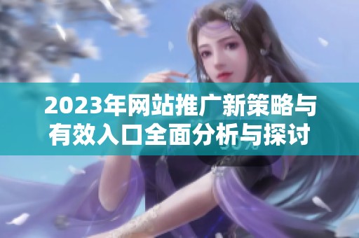 2023年网站推广新策略与有效入口全面分析与探讨