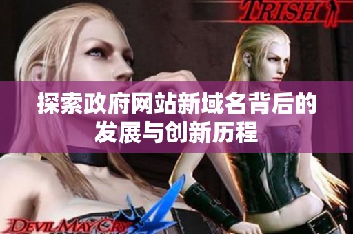 探索政府网站新域名背后的发展与创新历程