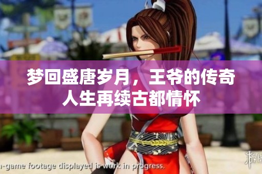 梦回盛唐岁月，王爷的传奇人生再续古都情怀