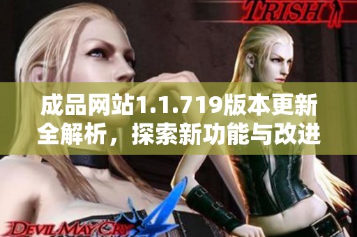 成品网站1.1.719版本更新全解析，探索新功能与改进亮点