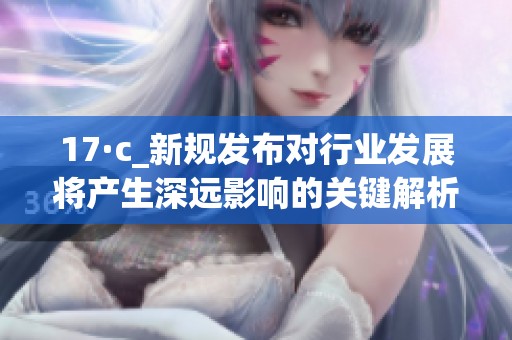 17·c_新规发布对行业发展将产生深远影响的关键解析与展望