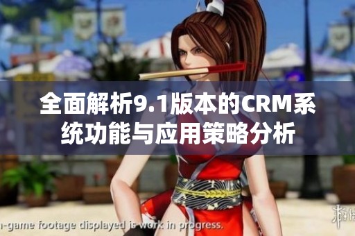 全面解析9.1版本的CRM系统功能与应用策略分析
