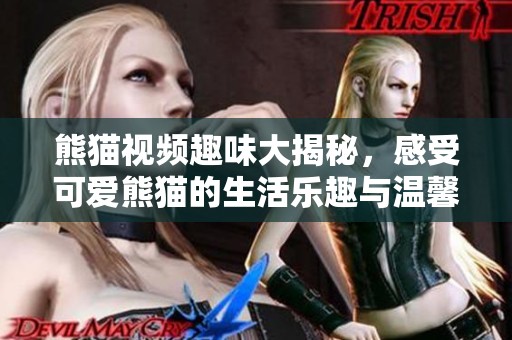 熊猫视频趣味大揭秘，感受可爱熊猫的生活乐趣与温馨瞬间