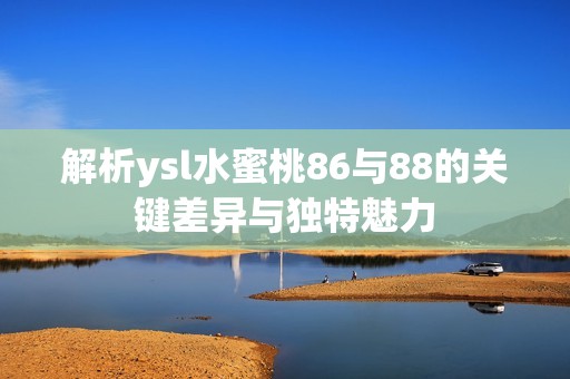 解析ysl水蜜桃86与88的关键差异与独特魅力