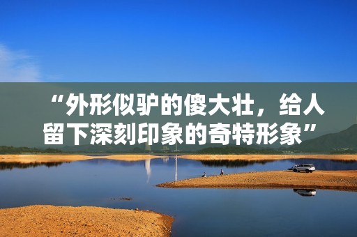“外形似驴的傻大壮，给人留下深刻印象的奇特形象”
