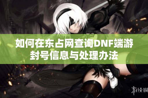 如何在东占网查询DNF端游封号信息与处理办法