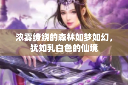 浓雾缭绕的森林如梦如幻，犹如乳白色的仙境