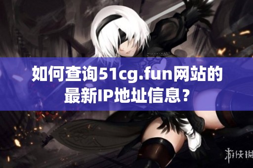 如何查询51cg.fun网站的最新IP地址信息？