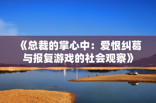 《总裁的掌心中：爱恨纠葛与报复游戏的社会观察》