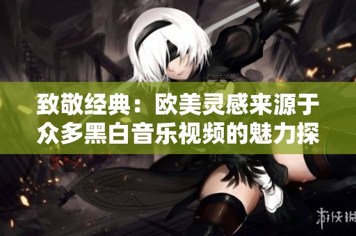 致敬经典：欧美灵感来源于众多黑白音乐视频的魅力探索