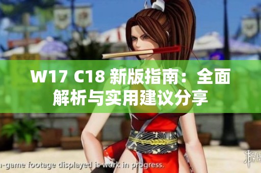 W17 C18 新版指南：全面解析与实用建议分享