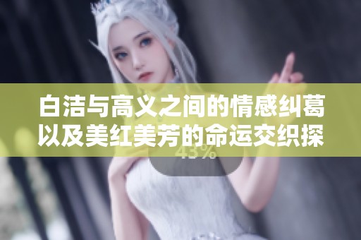 白洁与高义之间的情感纠葛以及美红美芳的命运交织探索