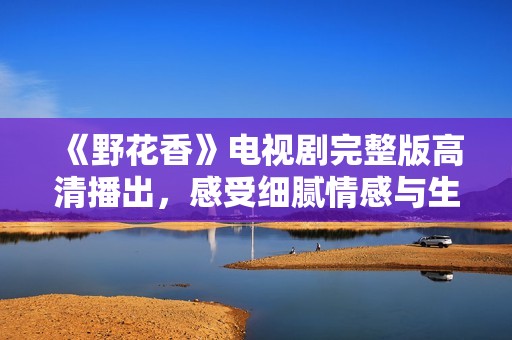 《野花香》电视剧完整版高清播出，感受细腻情感与生活的交织