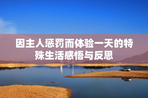 因主人惩罚而体验一天的特殊生活感悟与反思
