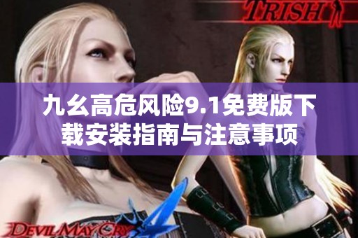 九幺高危风险9.1免费版下载安装指南与注意事项