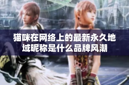 猫咪在网络上的最新永久地域昵称是什么品牌风潮
