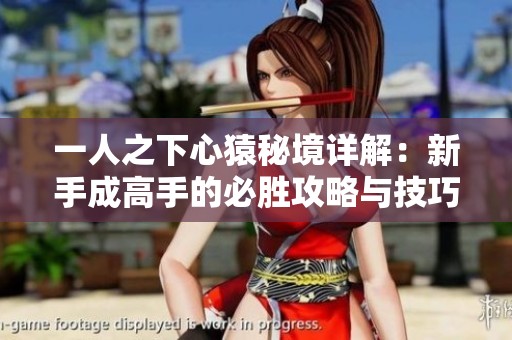 一人之下心猿秘境详解：新手成高手的必胜攻略与技巧分享