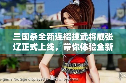 三国杀全新连招技武将威张辽正式上线，带你体验全新挑战！