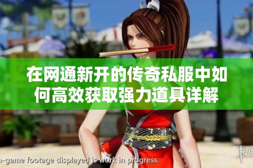在网通新开的传奇私服中如何高效获取强力道具详解